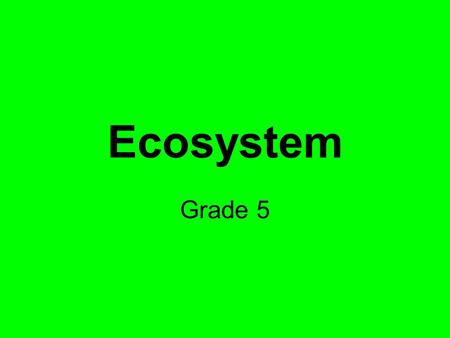 Ecosystem Grade 5.