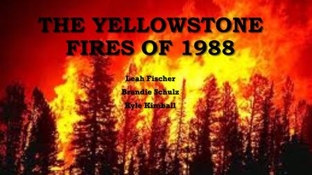THE YELLOWSTONE FIRES OF 1988 Leah Fischer Brandie Schulz Kyle Kimball.