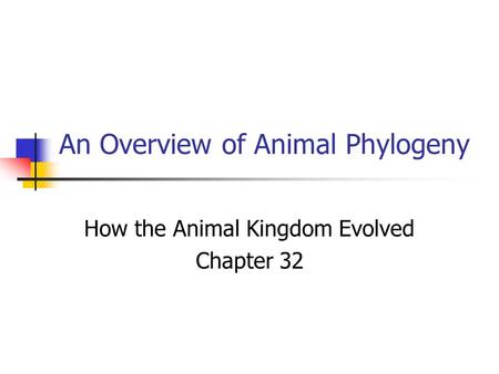 An Overview of Animal Phylogeny How the Animal Kingdom Evolved Chapter 32.