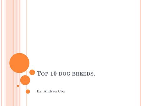 T OP 10 DOG BREEDS. By: Andrea Cox. 10. S HIH TZU They originated in China. Weight Male 8.8–16 lb Female 8.8–16 lb Height Male 7.9–11 in Female 7.9–11.