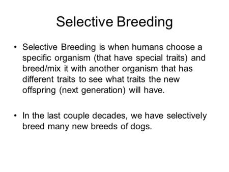 Selective Breeding Selective Breeding is when humans choose a specific organism (that have special traits) and breed/mix it with another organism that.