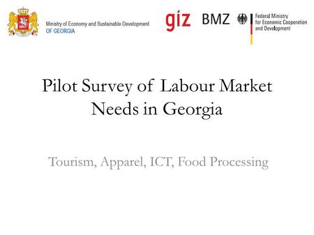 Pilot Survey of Labour Market Needs in Georgia Tourism, Apparel, ICT, Food Processing.