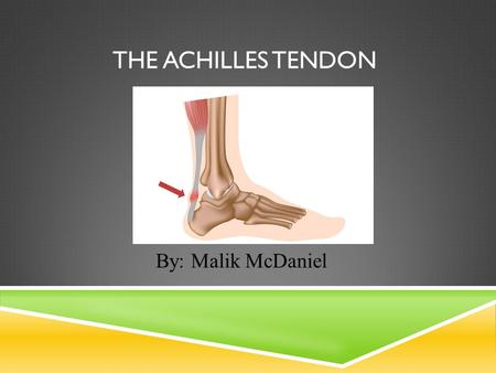 THE ACHILLES TENDON By: Malik McDaniel. SIDE EFFECTS IN ATHLETES Achilles Tendon Injury An Achilles tendon injury affects professional and amateur athletes.