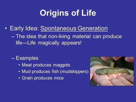Origins of Life Early Idea: Spontaneous Generation