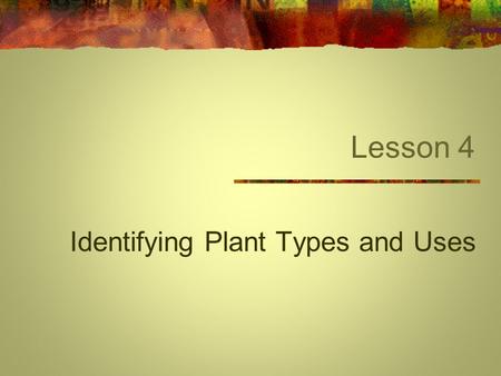 Lesson 4 Identifying Plant Types and Uses. Next Generation Science/Common Core Standards Addressed! RST.11 ‐ 12.1 Cite specific textual evidence to support.