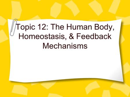 Topic 12: The Human Body, Homeostasis, & Feedback Mechanisms