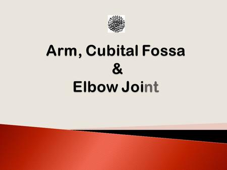 Arm, Cubital Fossa & Elbow Joint