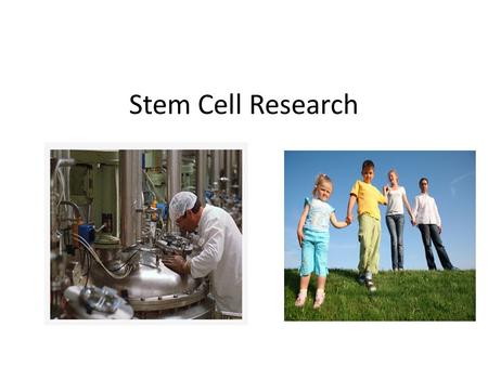 Stem Cell Research. What are the purposes of stem cells? Inject stem cells into damaged tissue areas and stem cells regenerate damaged areas Being proposed.