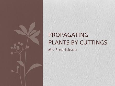 Mr. Fredrickson PROPAGATING PLANTS BY CUTTINGS. What are the reasons for propagating plants asexually?