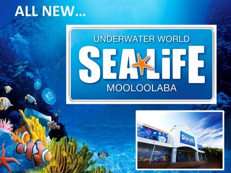 ALL NEW…. SEA LIFE All weather visitor attraction located in Mooloolaba on the beautiful Sunshine Coast We opened as UnderWater World in 1989 Acquired.