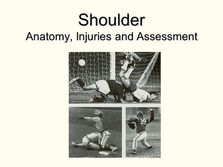 Shoulder Anatomy, Injuries and Assessment