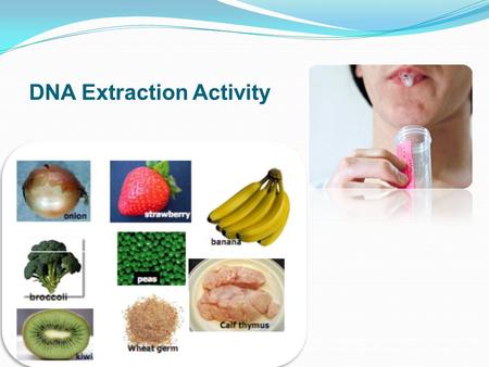 DNA Extraction Activity. Why extract DNA from a…….? Demonstrate that food actually has DNA in it! One study showed that some people think that traditionally.
