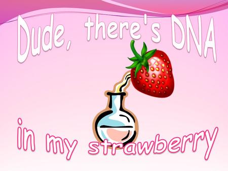 Dude, there's DNA in my strawberry.