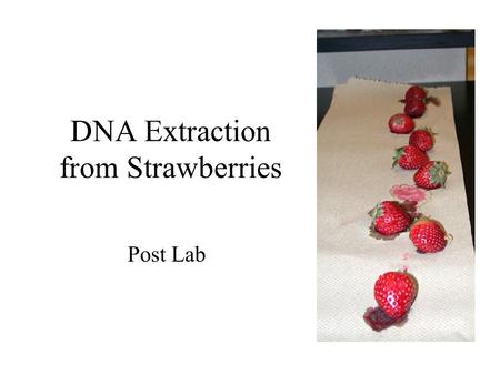 DNA Extraction from Strawberries