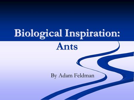 Biological Inspiration: Ants By Adam Feldman. “Encounter Patterns” in Ant Colonies Ants communicate through the use of pheromones perceived through their.