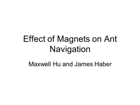 Effect of Magnets on Ant Navigation Maxwell Hu and James Haber.