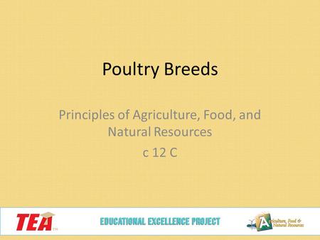 Poultry Breeds Principles of Agriculture, Food, and Natural Resources c 12 C.