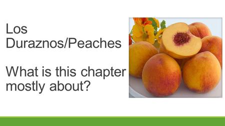 Los Duraznos/Peaches What is this chapter mostly about?