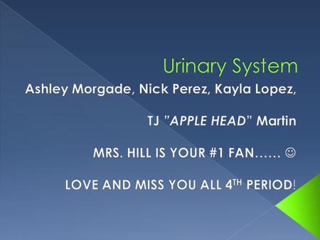 Urinary System Ashley Morgade, Nick Perez, Kayla Lopez,