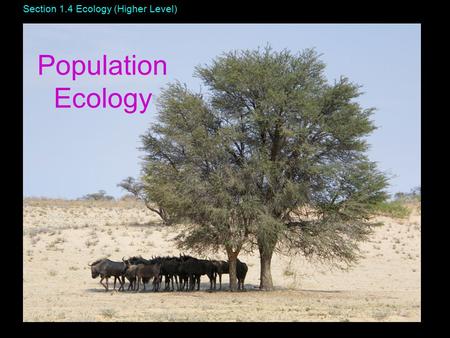 Section 1.4 Ecology (Higher Level) Population Ecology.