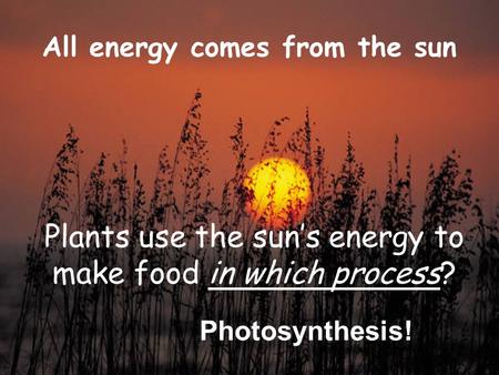 All energy comes from the sun