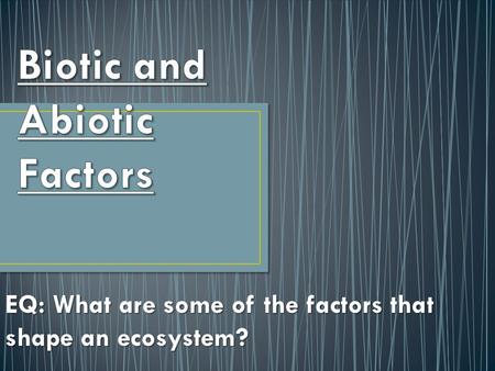 EQ: What are some of the factors that shape an ecosystem?