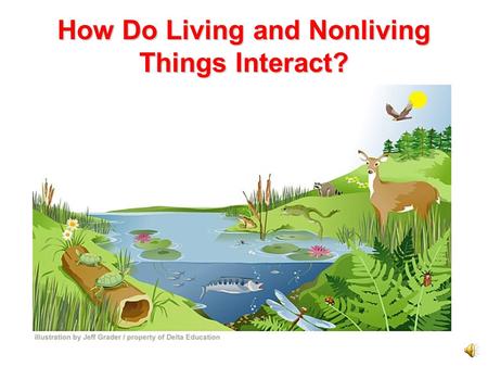 How Do Living and Nonliving Things Interact?