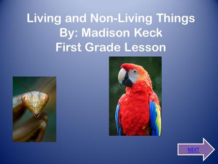 Living and Non-Living Things By: Madison Keck First Grade Lesson NEXT.