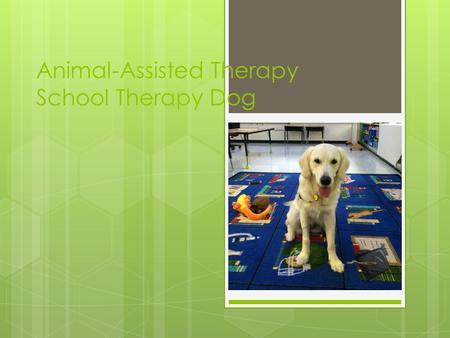Animal-Assisted Therapy School Therapy Dog. What is Pet Therapy / Animal- Assisted Therapy (AAT)?  Pet therapy is a broad term that includes animal-assisted.