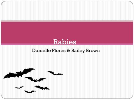 Danielle Flores & Bailey Brown Rabies. What is Rabies? Rabies is a preventable viral disease of warm blooded mammals most often transmitted through the.