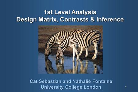 1st Level Analysis Design Matrix, Contrasts & Inference