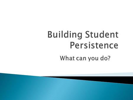 What can you do?.  “Persistence can been seen as being comprised of two parts: intensity (hours of instruction per month) and duration (months of engagement.