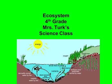 Ecosystem 4th Grade Mrs. Turk’s Science Class