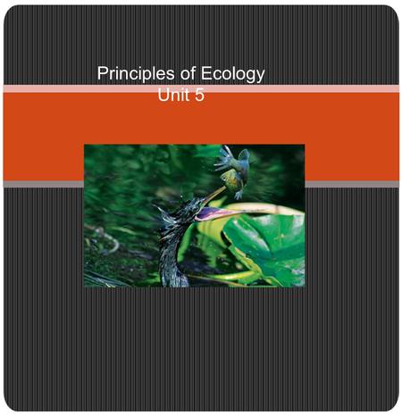 Principles of Ecology Unit 5.