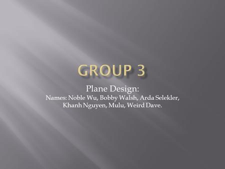 Plane Design: Names: Noble Wu, Bobby Walsh, Arda Selekler, Khanh Nguyen, Mulu, Weird Dave.