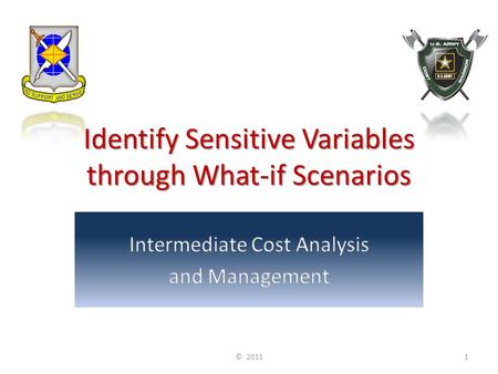 Identify Sensitive Variables through What-if Scenarios © 20111.