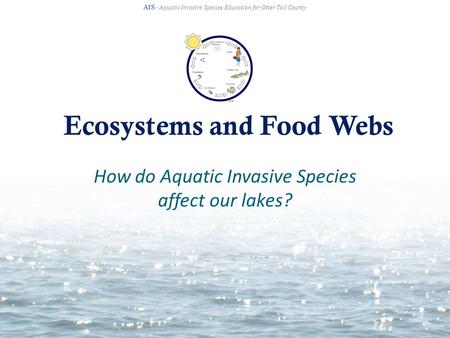 Ecosystems and Food Webs