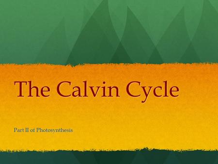 The Calvin Cycle Part II of Photosynthesis. Calvin Named after American biochemist Melvin Calvin Most commonly used pathway by most plants Calvin cycle.