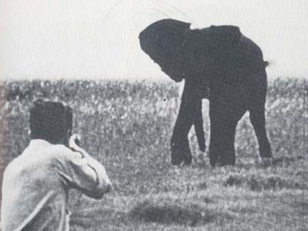 George Orwell Shooting an Elephant. George Orwell Shooting an Elephant.