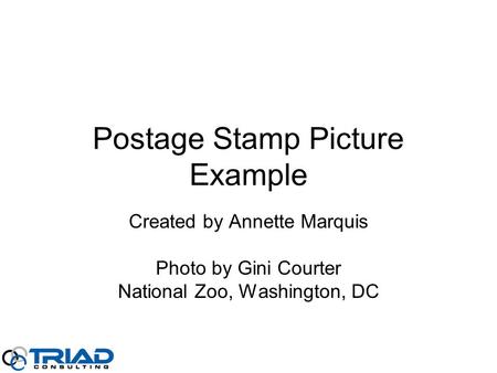 Postage Stamp Picture Example Created by Annette Marquis Photo by Gini Courter National Zoo, Washington, DC.
