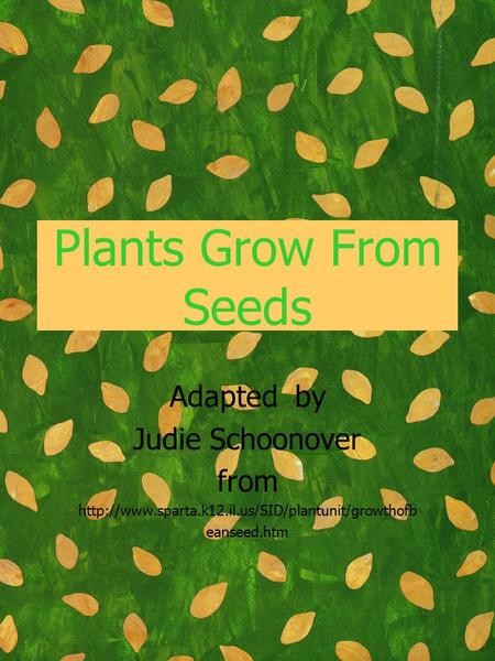 Plants Grow From Seeds Adapted by Judie Schoonover from  eanseed.htm.