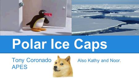 Polar Ice Caps Tony Coronado Also Kathy and Noor. APES.