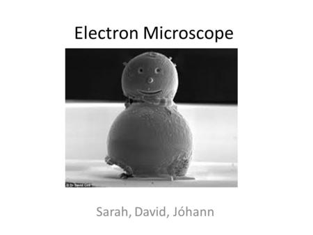 Electron Microscope Sarah, David, Jóhann.