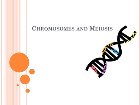 C HROMOSOMES AND M EIOSIS T WO MAJOR TYPES OF CELLS You have many types of specialized cells in your body, but they can be divided into two major groups: