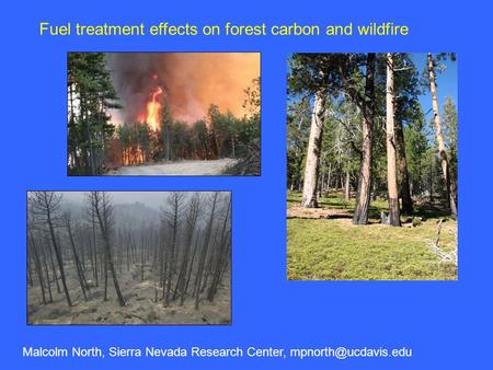 Fuel treatment effects on forest carbon and wildfire Malcolm North, Sierra Nevada Research Center,