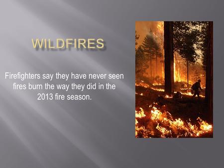 Firefighters say they have never seen fires burn the way they did in the 2013 fire season.