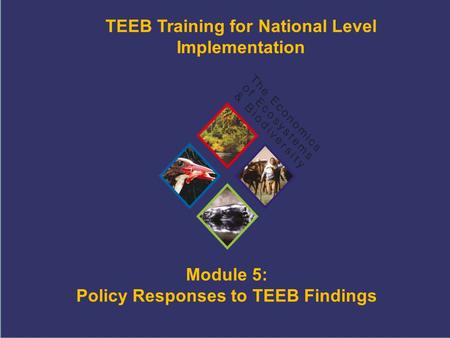 TEEB Training Module 5: Policy Responses to TEEB Findings TEEB Training for National Level Implementation.