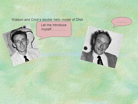Watson and Crick’s double helix model of DNA Let me introduce myself…………. ………