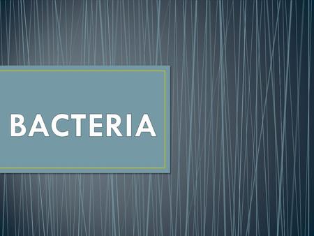 Bacteria are microscopic, single celled organisms that exist all around you and inside you. Unlike other single celled organisms, bacteria do not have.