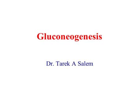 Gluconeogenesis Dr. Tarek A Salem.